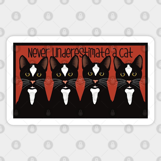 Never underestimate the power of a black cat. Black cats on a red background Magnet by marina63